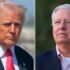 Trump Dukung Darline Graham Maju Gantikan Lindsey di Senat AS - BeritaLia.com